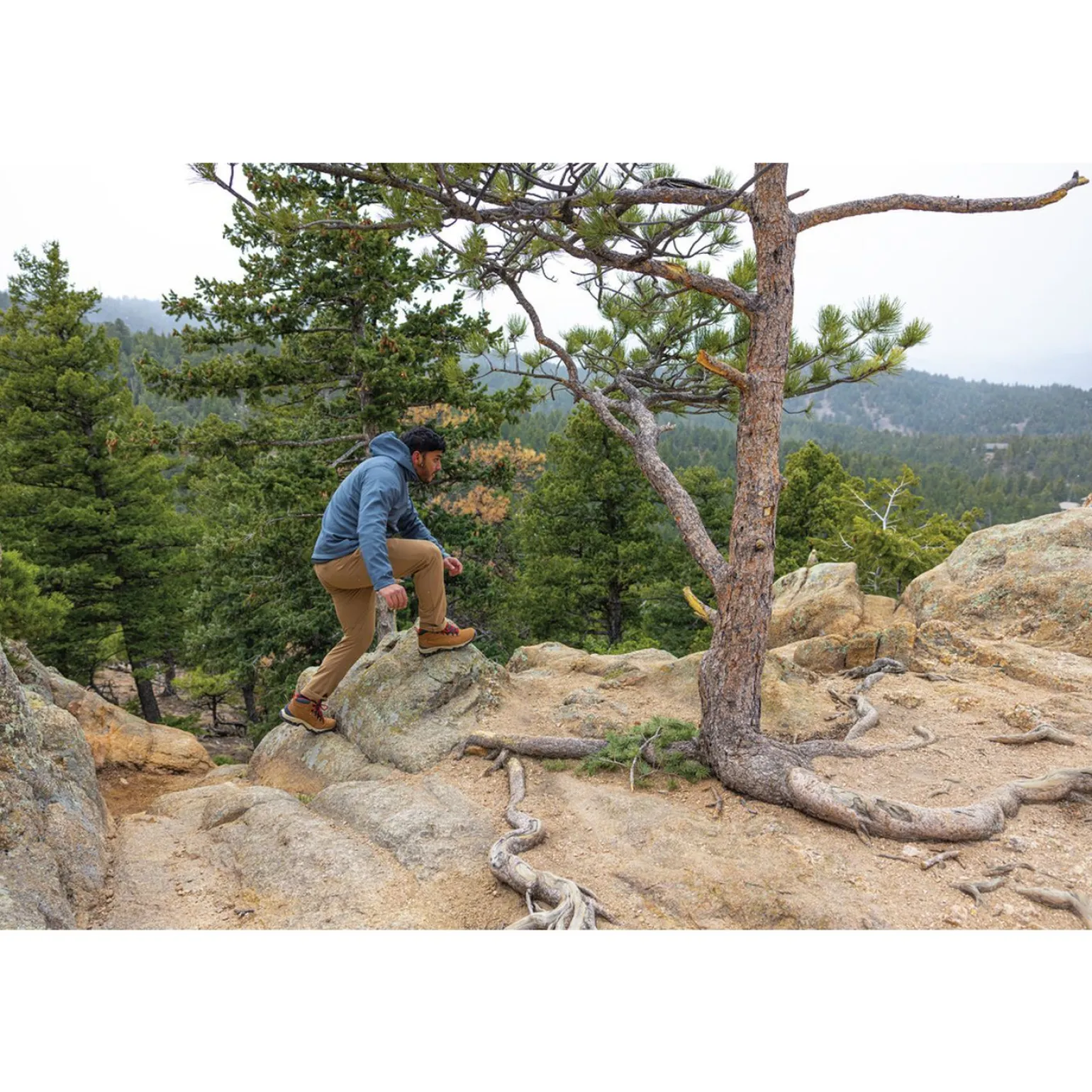 Columbia Newton Ridge Plus Ii Suede