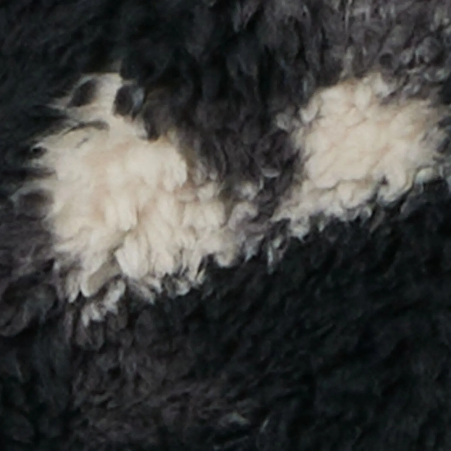 Columbia Winter Pass Print Fleece Full Zip