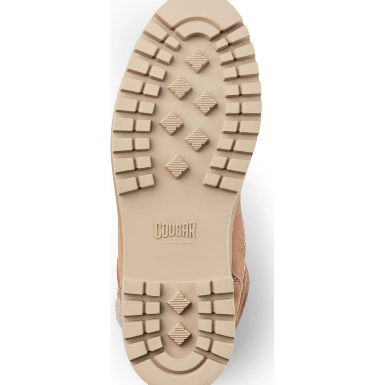 Cougar Naples Suede