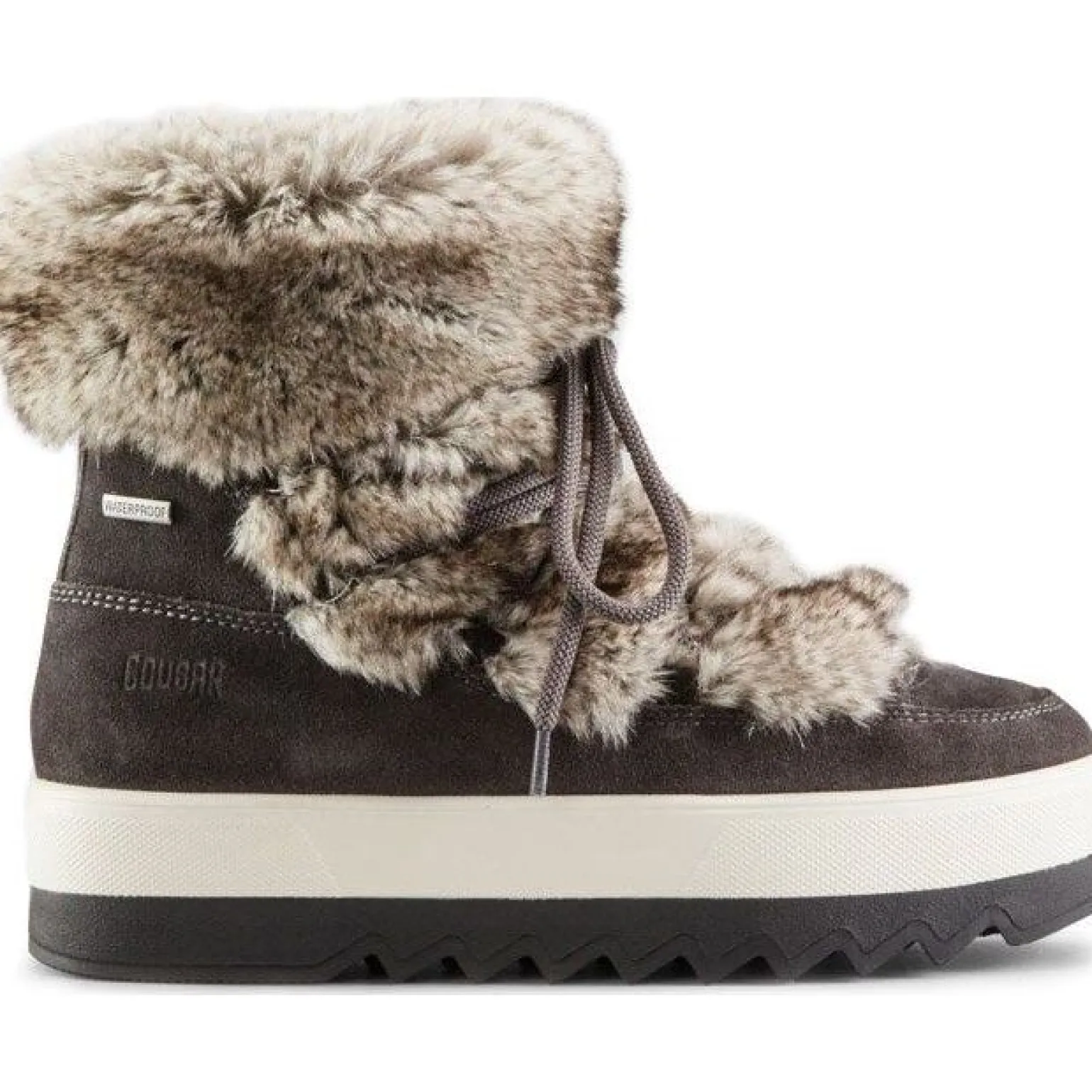 Cougar Vanity Suede