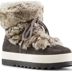 Cougar Vanity Suede