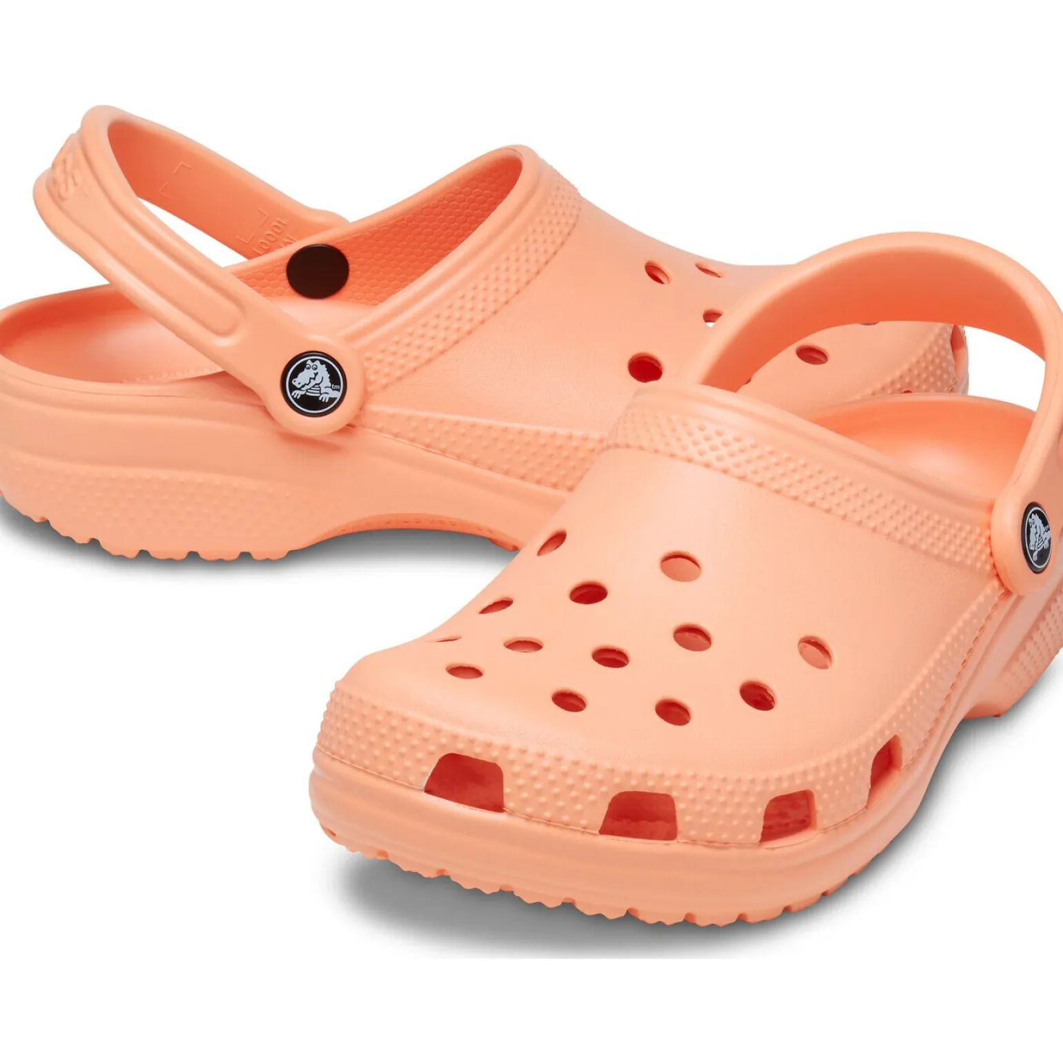 Crocs Classic