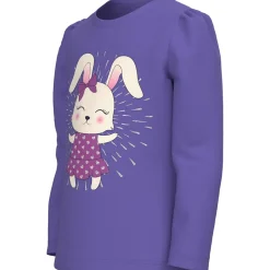 Name It Long Sleeved Top 13219940