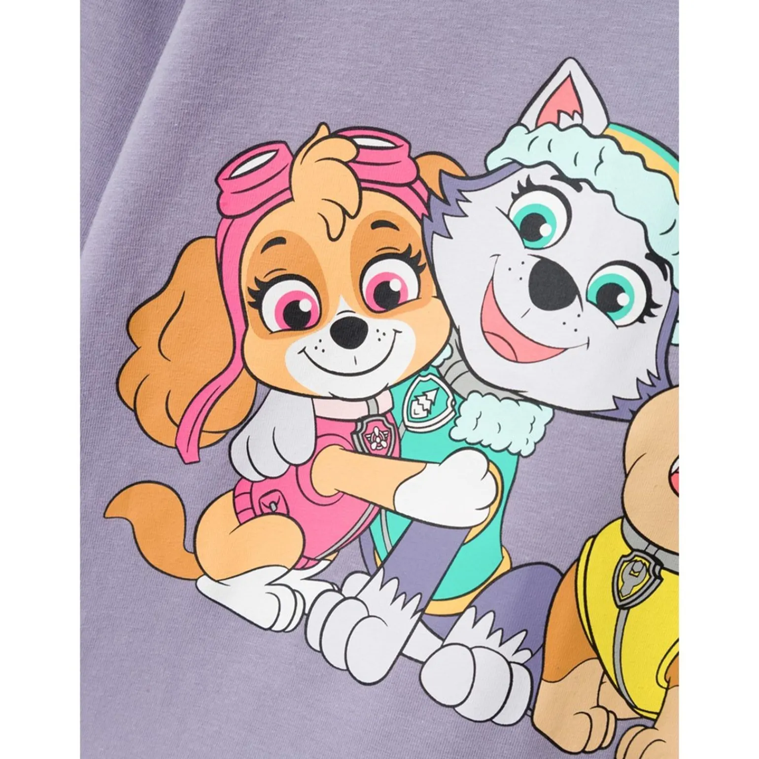 Name It Paw Patrol Long Sleeved Top 13219717